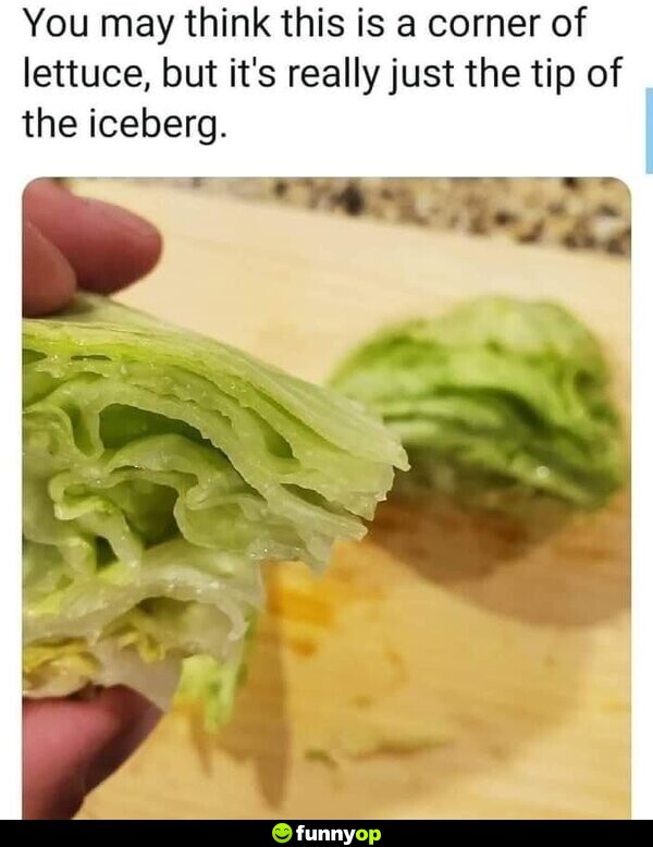 You may think this is a corner of lettuce, but it's really just the tip of the iceberg.