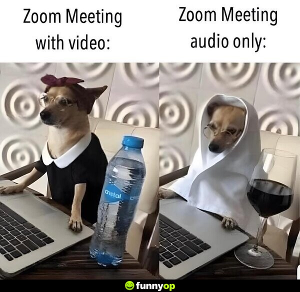 Zoom meeting with video: Zoom meeting audio only: